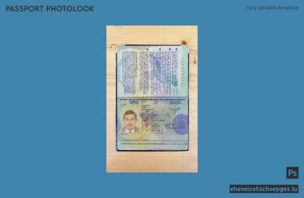 Beispielansicht des Passfotos für das Vereinigte Königreich (2006–2010)